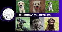 Puppy Cursus